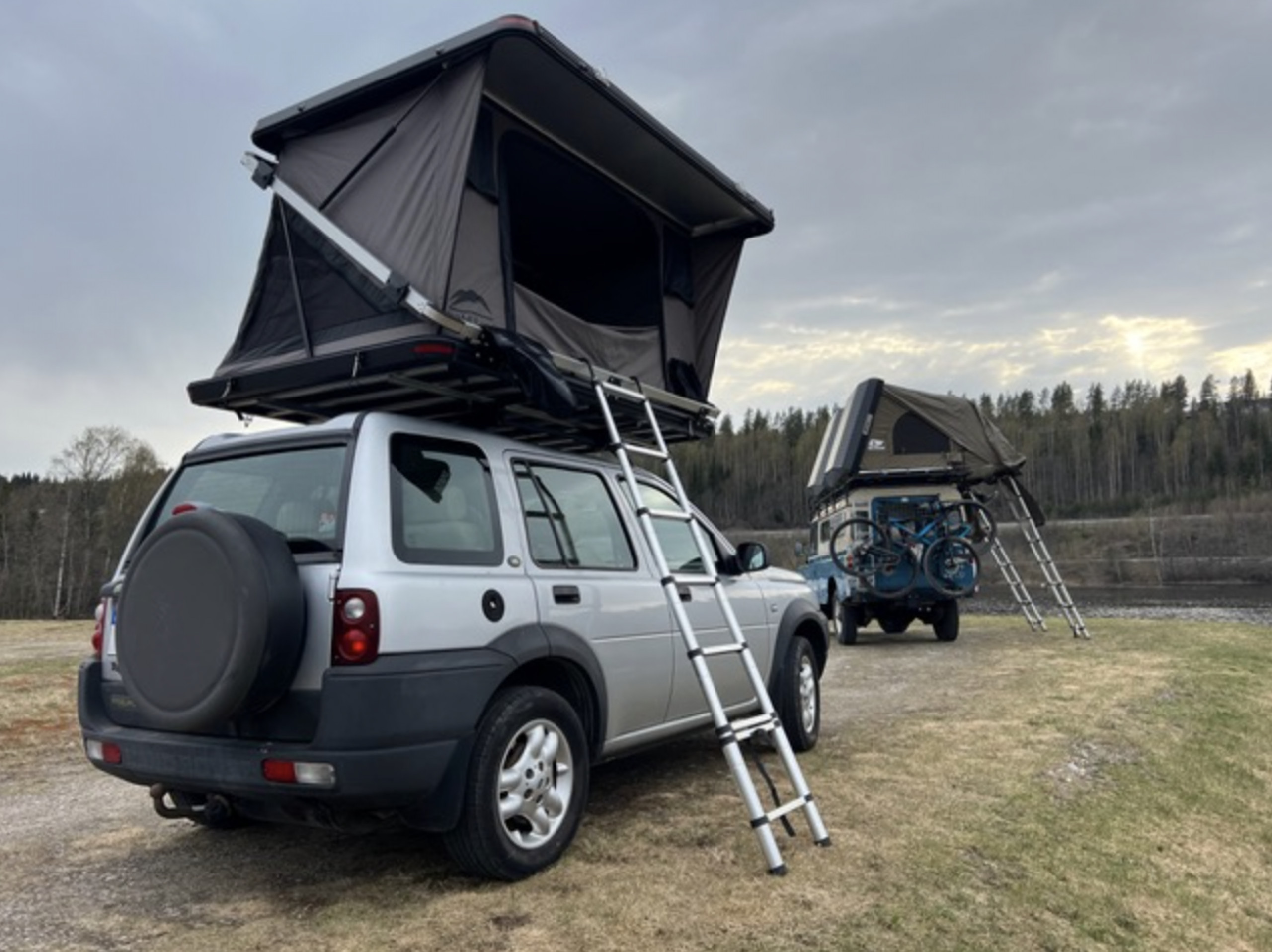 Freelander - Gertrude